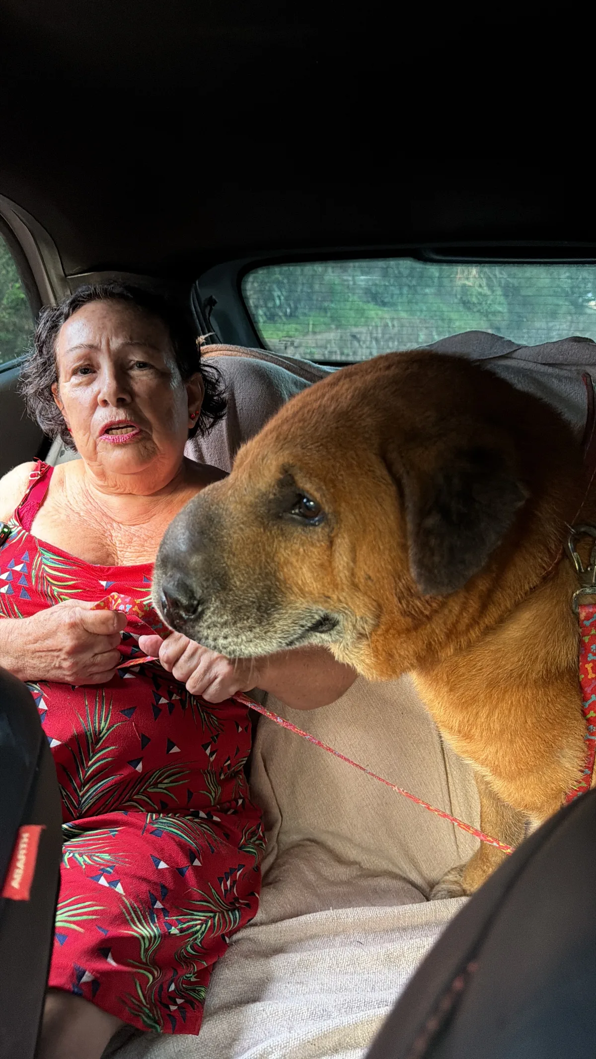 Aquiles 2