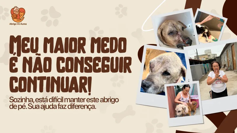 Meu maior medo é não conseguir continuar — Abrigo Vó Áurea