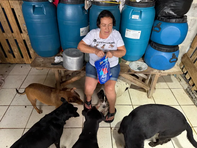 Vó Áurea com os animais